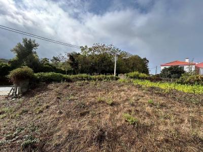 Setubal, Setubal 2925-708, Portugal