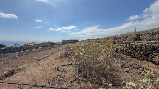 Santa Cruz de Tenerife, Canarias 38520, Spain