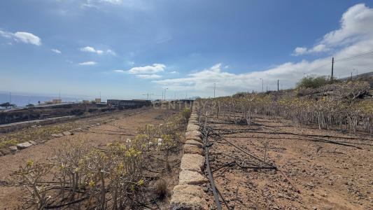 Santa Cruz De Tenerife, Canarias 38520, Espanha