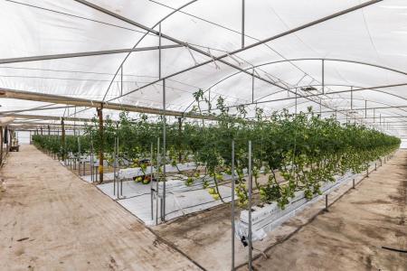 331 Johns Road, Lewiston, SA 5501, Australia