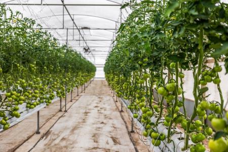 331 Johns Road, Lewiston, SA 5501, Australia