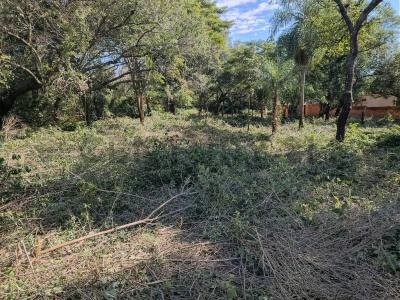 25°18'30'S 57°23'45'W , Areguá, Central 00001, Paraguay