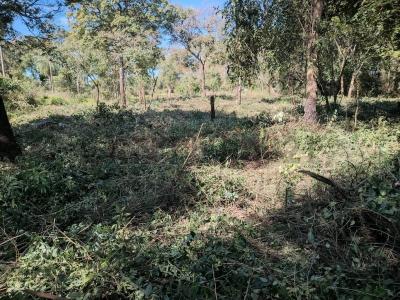 25°18'30'S 57°23'45'W , Areguá, Central 00001, Paraguay