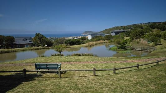 Plettenberg Bay, Western Cape, Güney Afrika