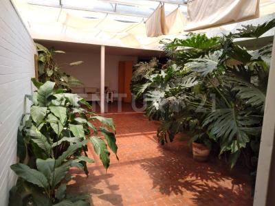 Antiguo Camino a Acapulco ,, Alvaro Obregón, Ciudad De México 01790, México