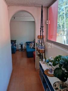 Florales 36,, Tlalpan, Ciudad De México 14330, México