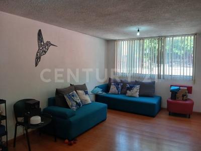 Florales 36,, Tlalpan, Ciudad De México 14330, México