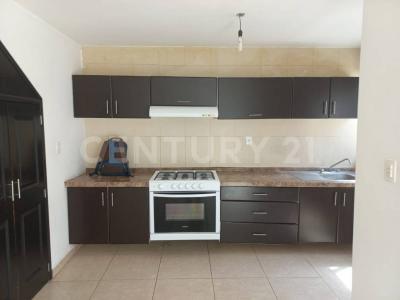 Paseo de San Gerardo 220 Int. 69,, Aguascalientes, Aguascalientes 20342, Messico