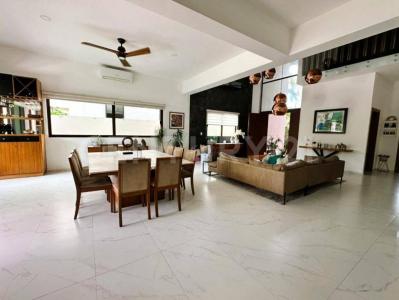 caimanes ,, Cancún/Benito Juárez, Quintana Roo 77560, Messico