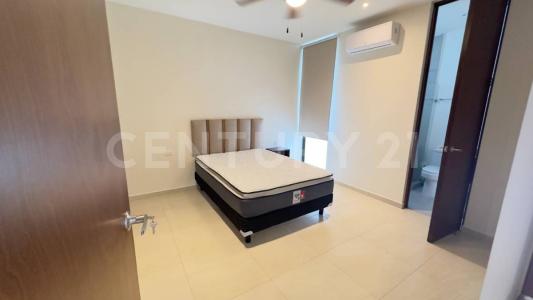 11A 11,, Mérida, Yucatan 97300, Mexico