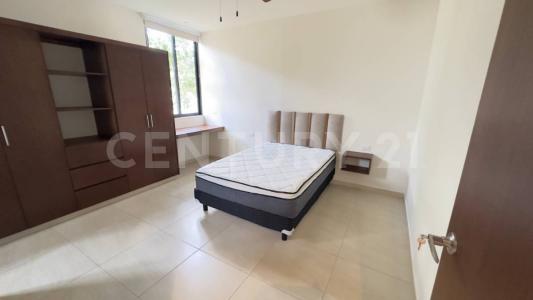 11A 11,, Mérida, Yucatan 97300, Mexico