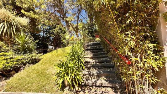 CUYO 44, Mar De Las Pampas, Buenos Aires Costa Atlántica 7165, Argentine