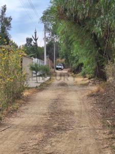 san luis, tarija s/n, San Luis, Tarija 00001, Bolivia