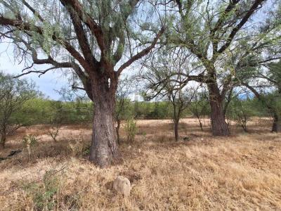 san luis, tarija s/n, San Luis, Tarija 00001, Bolivia