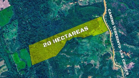 Urubo, Santa Cruz 00001, Bolivia