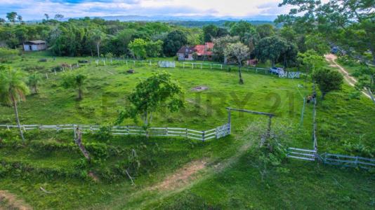 Urubo, Santa Cruz 00001, 玻利维亚