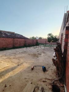 Cipriano Barace (Paititi), Beni 00001, Bolivia