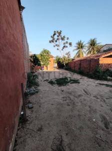 Cipriano Barace (Paititi), Beni 00001, Bolivia