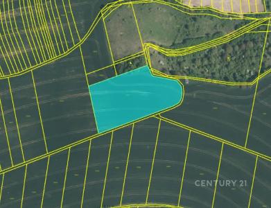 Milonice, Vyškov, Czech Republic