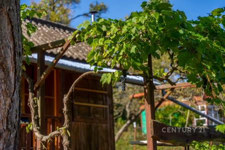 Brno, Brno-město 100 00, Czech Republic