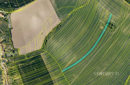 Nemotice, Vyškov 100 00, Czech Republic