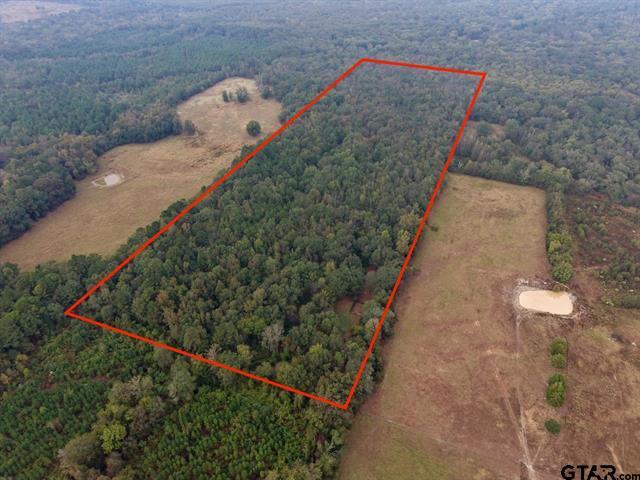 339 County Road 3966, Mineola, تكساس 75773, الولايات المتحدة