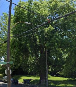 471 E Georgia, Memphis, Tennessee 38126, USA