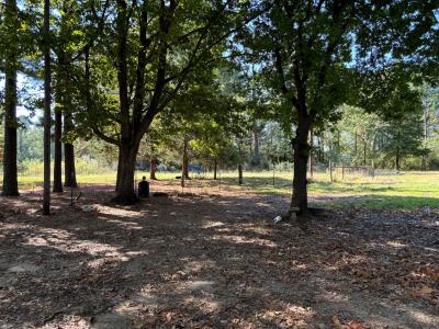 4157 Trexler, Texarkana, 德克薩斯州 75501, 美國