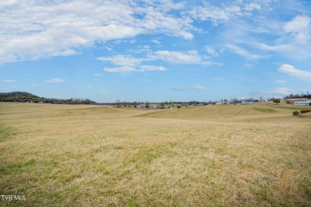 Tbd Ducktown Road, 石灰岩, 田納西州 37681, 美國