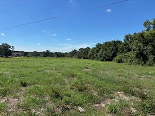 TBD County Road 185, Anderson, Texas 77830, HOA KỲ