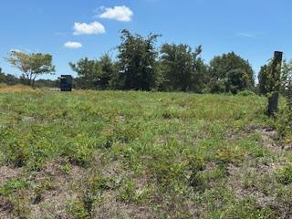 TBD County Road 185, Anderson, Texas 77830, HOA KỲ