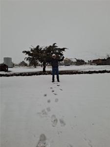 0 Vac/longview Rd/vic Murphys Road, Juniper Hills, Californie 93543, États-Unis