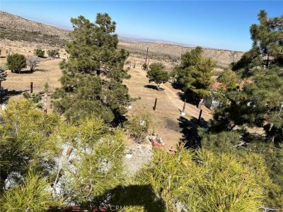 0 Vac/longview Rd/vic Murphys Road, Juniper Hills, Californie 93543, États-Unis