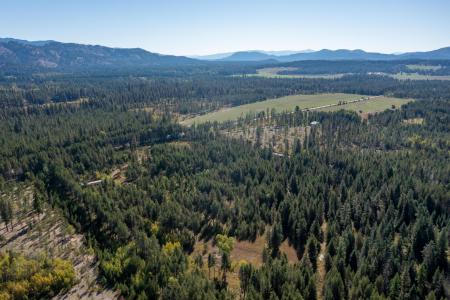 54 Lenora Dr, Usk, Washington 99180, USA