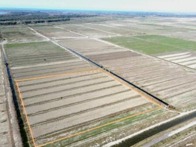 Novosel, Vlorë, Albanien