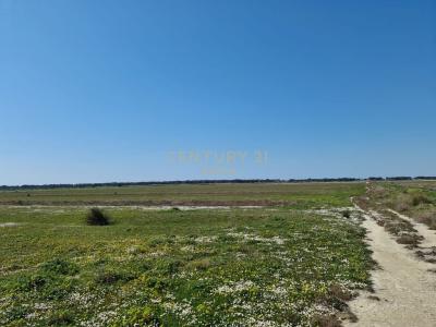 Novosel, Vlorë, Albanien