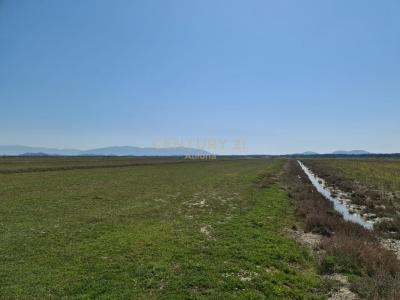 Novosel, Vlorë, Albanien