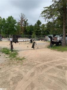 8240 MAIN STREET, Lisle, Ontario L0M 1M0, Canadá