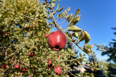 8 CASTLEWOOD COURT, Caledon, Ontario L7K 0C1, CANADÁ