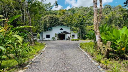 Tres Rios , Tres Ríos Puerto Cortés Osa, Puntarenas 00001, Costa Rica