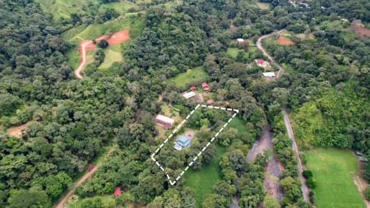 Tres Rios , Tres Ríos Puerto Cortés Osa, Puntarenas 00001, Costa Rica