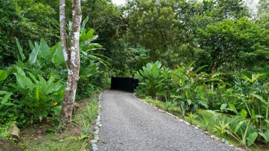 Tres Rios , Tres Ríos Puerto Cortés Osa, Puntarenas 00001, Costa Rica