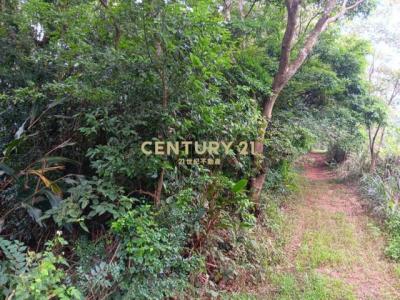 中原段, 龍潭區, Taoyuan 325, Taiwan