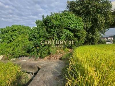 北柳南段, Wufeng Dist., Taichung 413, Tajwan