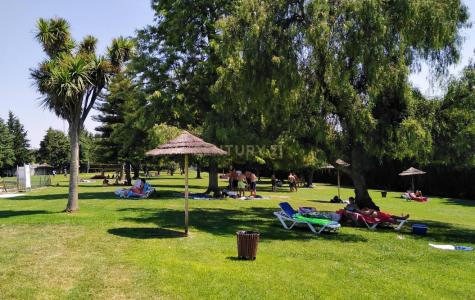 Ferreira Do Alentejo, Beja 7900-114, Portugal