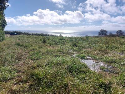 Lagoa, São Miguel Island 9560-000, Portugal