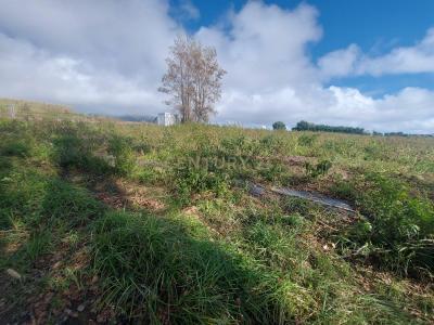 Lagoa, São Miguel Island 9560-000, Portugal