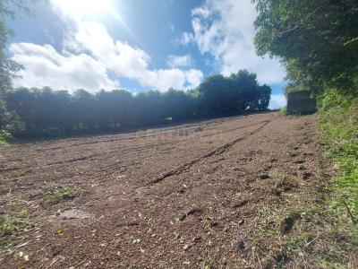 Lagoa, São Miguel Island 9560-000, Portugal