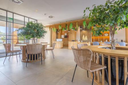 Alcochete, Setubal 2890-001, Portugalia