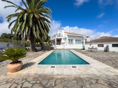 Santa Cruz De Tenerife, Canarias 38290, Tây Ban Nha